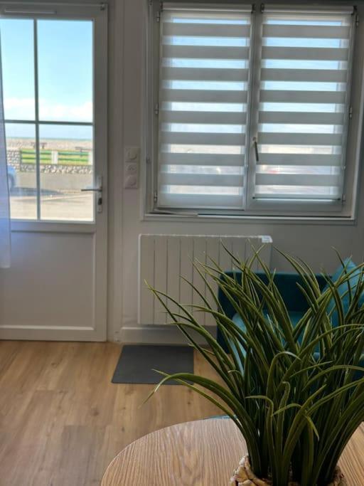 Appartement Macoco Front De Mer Кайо-сюр-Мер Екстериор снимка